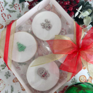 merry christmas 4 pc gift box